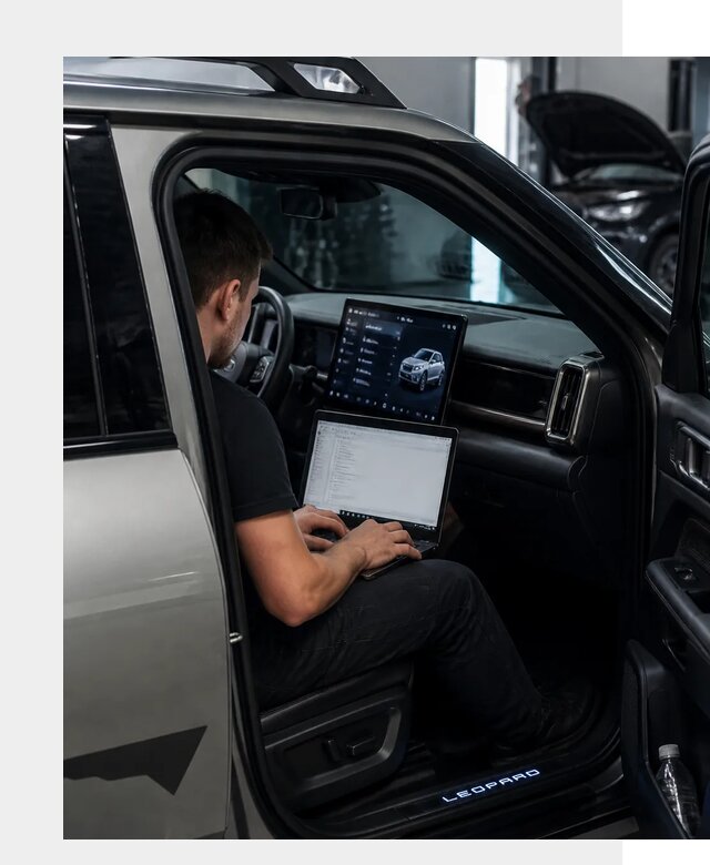 Русификация BYD Leopard 3 в Югорске по цене от 20320 р. | ФастМобиль-Югр